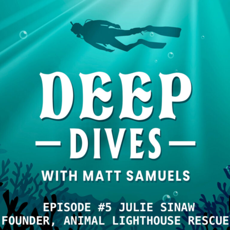 Saving dogs, saving lives with guest Julie Sinaw founder of Animal Lighthouse Rescue